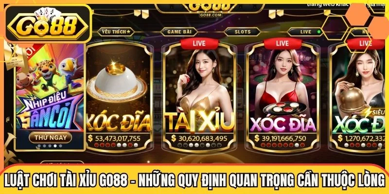 Lời kết