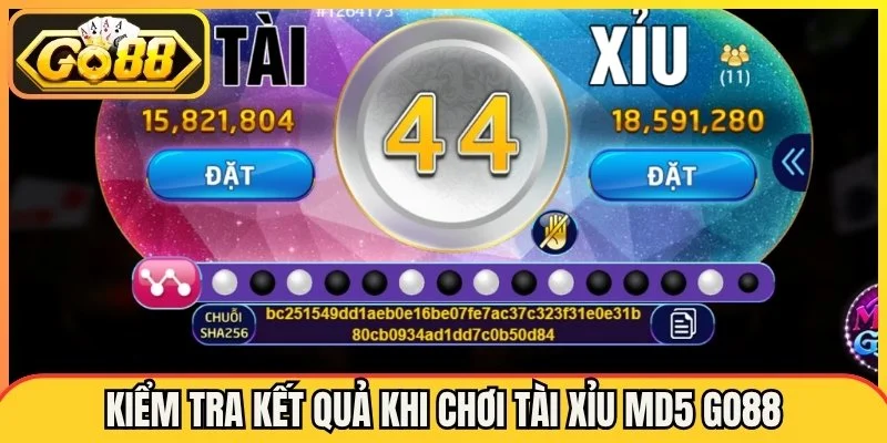 Kiểm tra kết quả