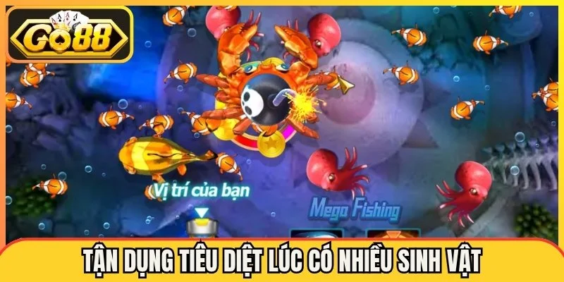 Tận dụng tiêu diệt lúc có nhiều sinh vật